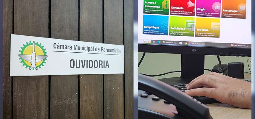 Noticia 06